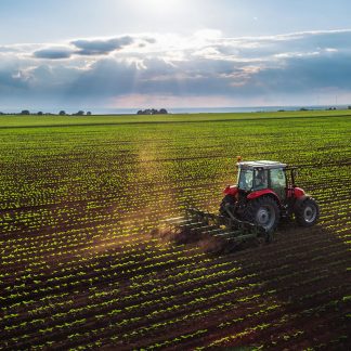 Productos del Campo